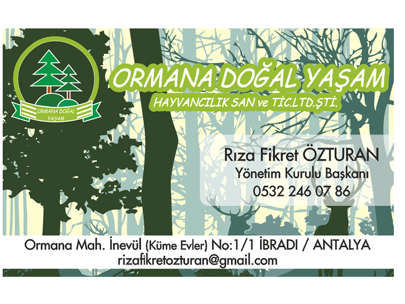 Ormana Doğal Yaşam